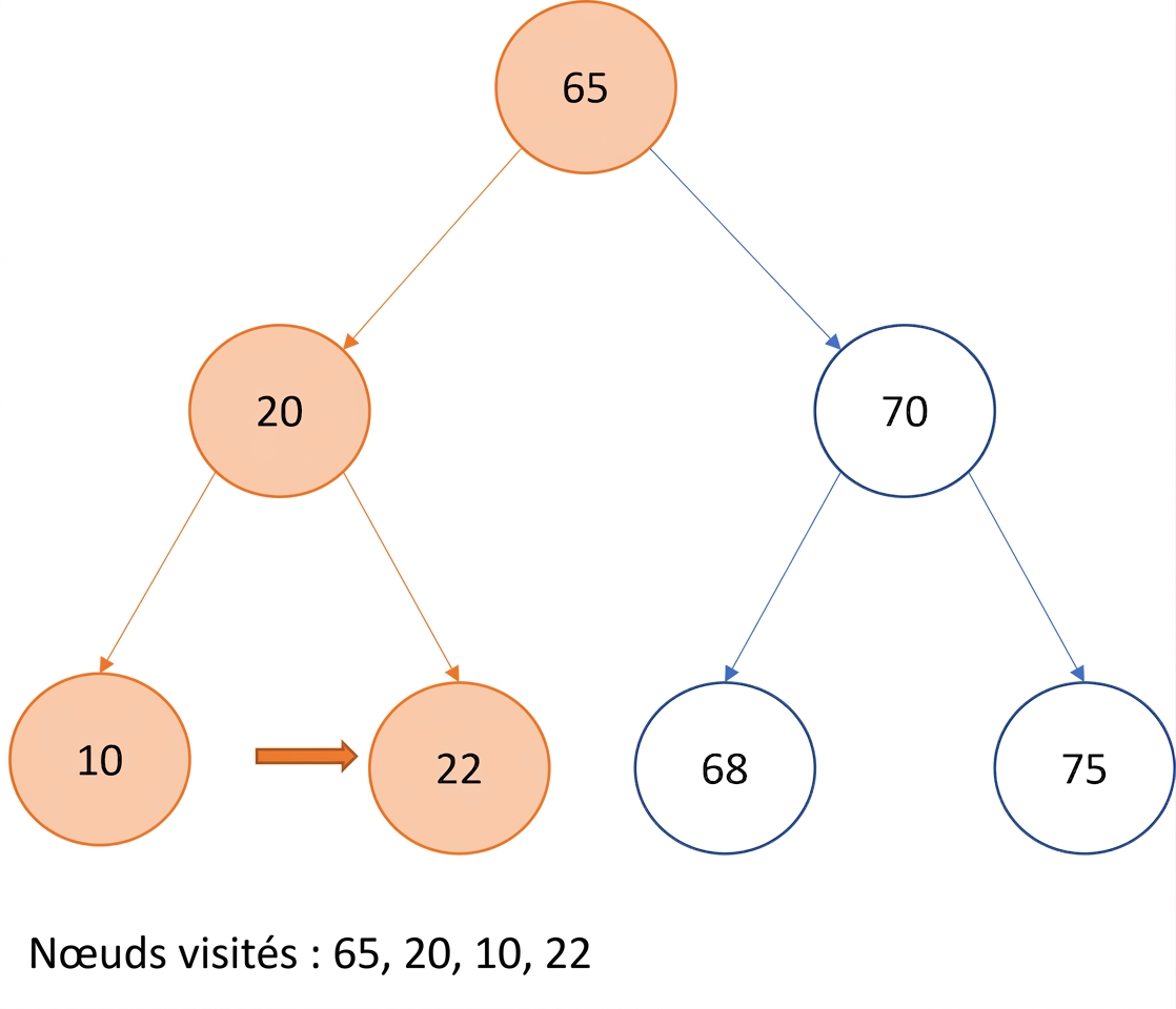 Représentation graphique d'un parcours préfixe sur un arbre binaire de recherche.
