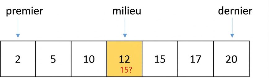 Schéma d'une liste de nombres ordonnés. Une variable « first » pointe la première position, une autre « last » la dernière, et une autre « middle » la position du milieu. Le nombre 12 est au milieu et en jaune.