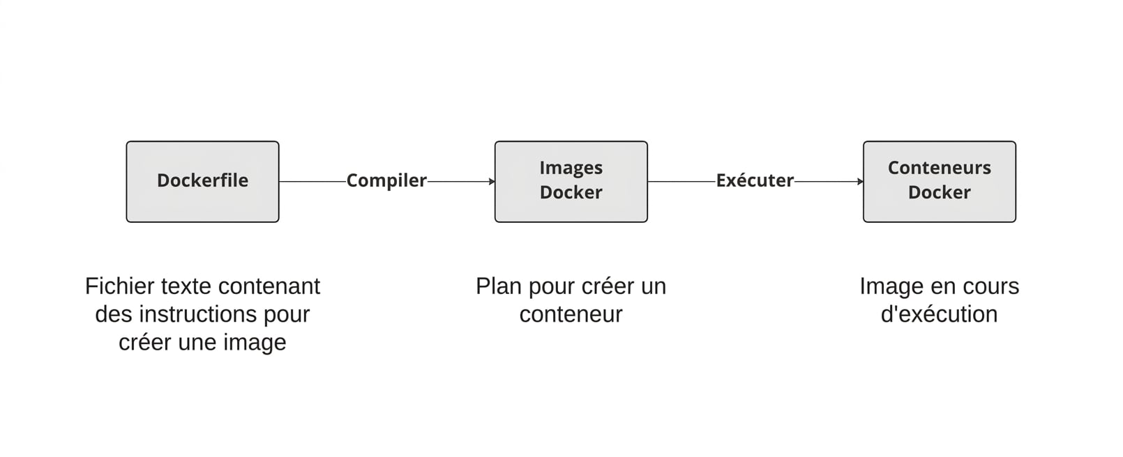 Les Dockerfiles servent à créer des images Docker qui, à l'exécution, lancent un conteneur.