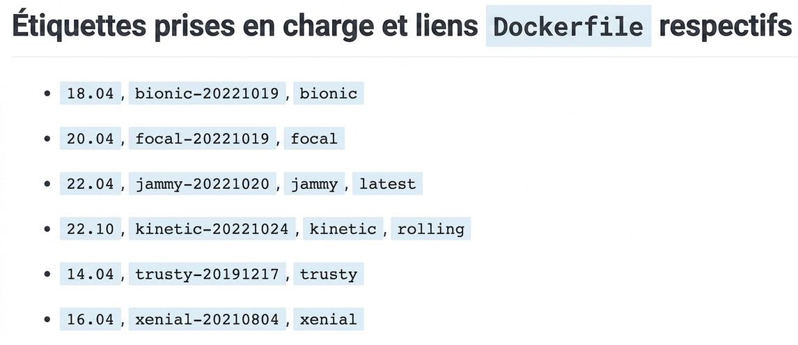 Les images Docker ont plusieurs versions (étiquettes). Ici, 6 versions d'Ubuntu, par exemple 18.04, aussi étiquetée bionic.