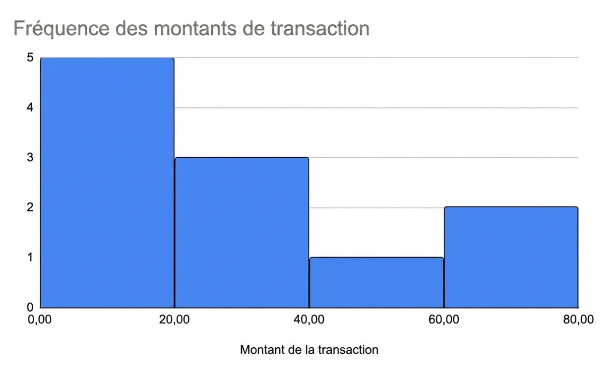 Histogramme montrant la fréquence des montants de transaction