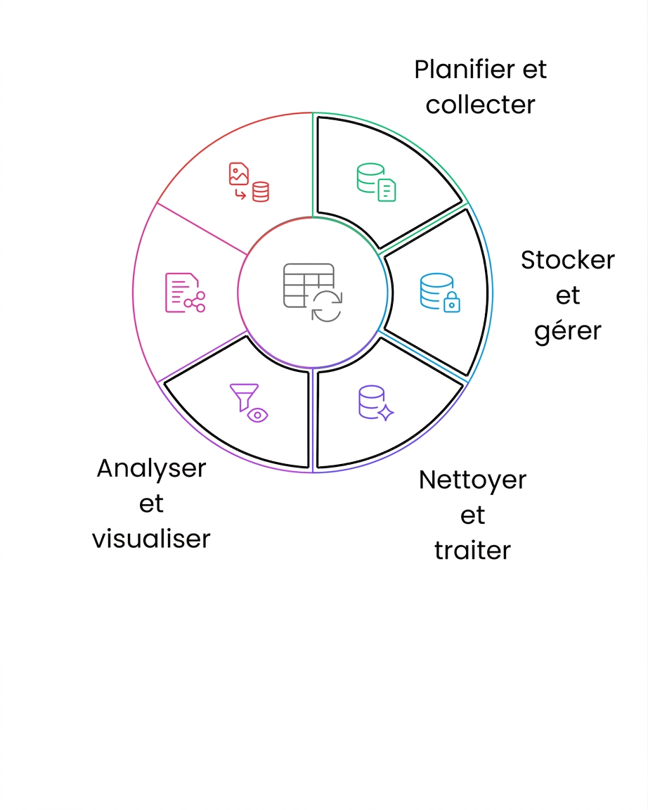 cycle de vie des données : analyser et visualiser