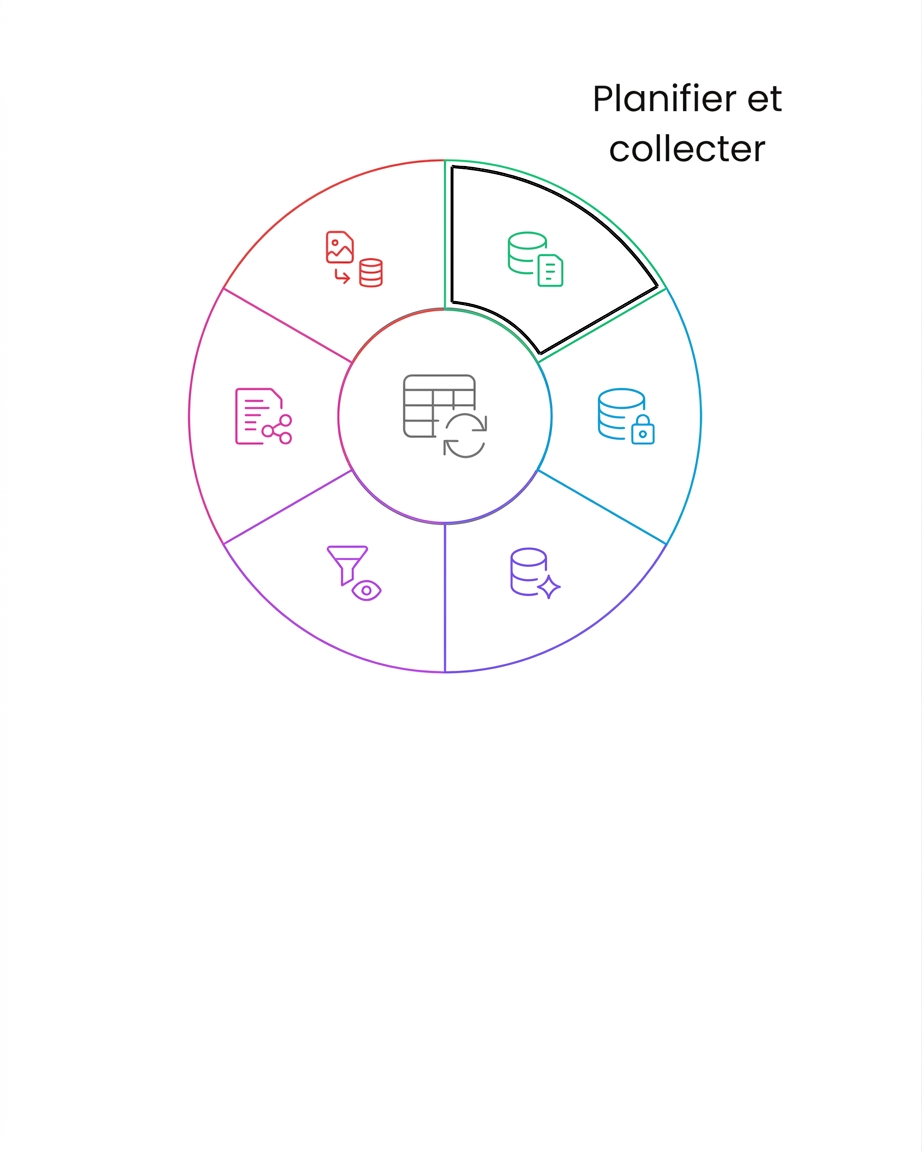 plan du cycle de vie des données