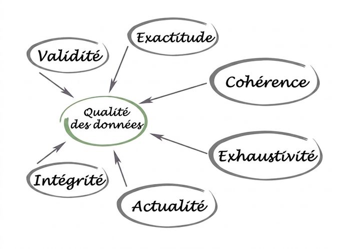 Un schéma avec « qualité des données » au centre et validité, exactitude, cohérence, complétude, ponctualité et intégrité pointant vers le centre