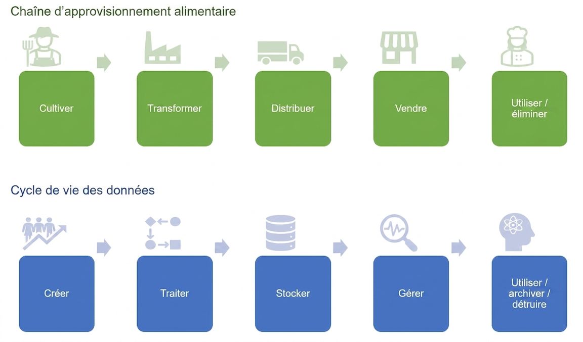 La chaîne d'approvisionnement alimentaire et le cycle de vie des données