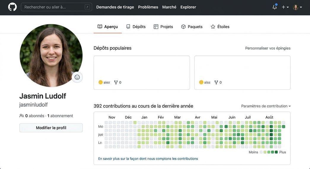 Vue du profil GitHub
