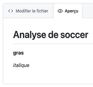 Vue de l'aperçu d'un fichier markdown avec du texte en gras et en italique