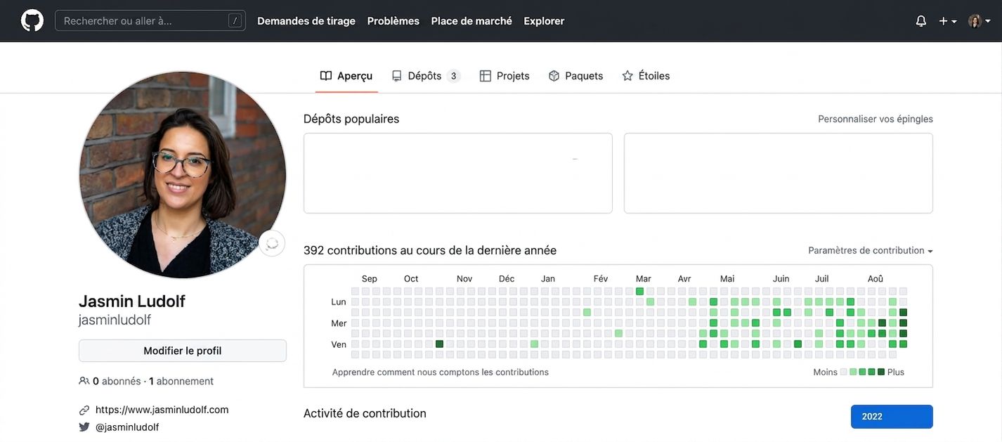 Capture d’écran d’un profil GitHub