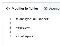 Vue de la page d'édition d'un fichier markdown avec la syntaxe pour le gras et l'italique