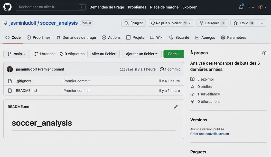 Vue du dépôt d'analyse de soccer