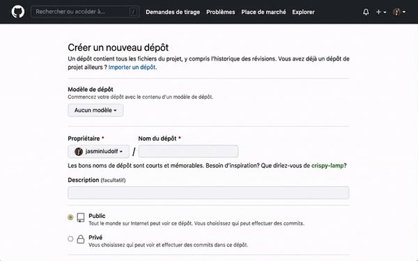 Animation de la page de création : nom et description du dépôt saisis