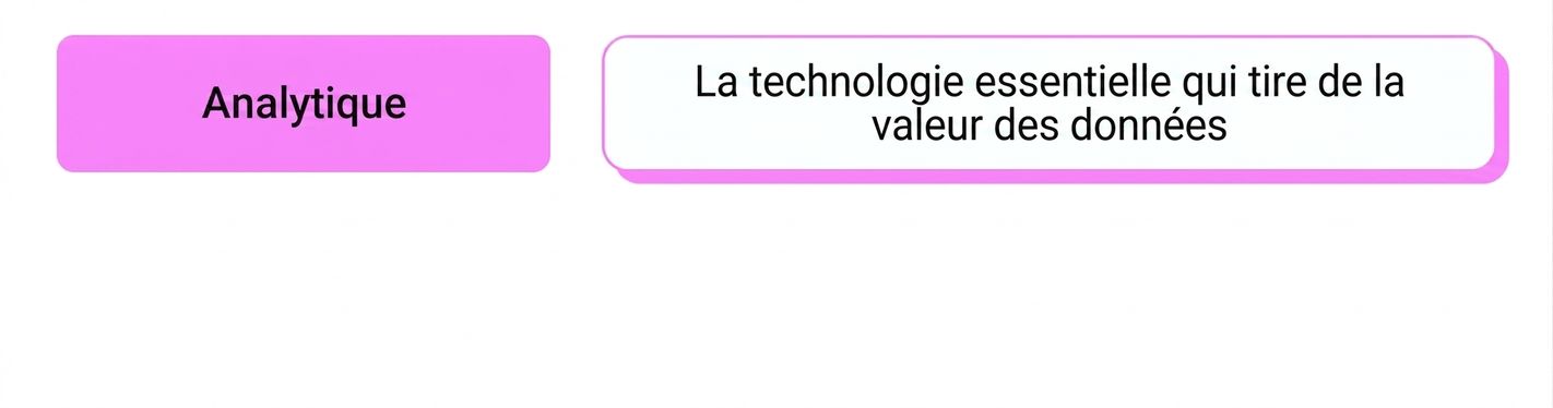 analyse visuelle