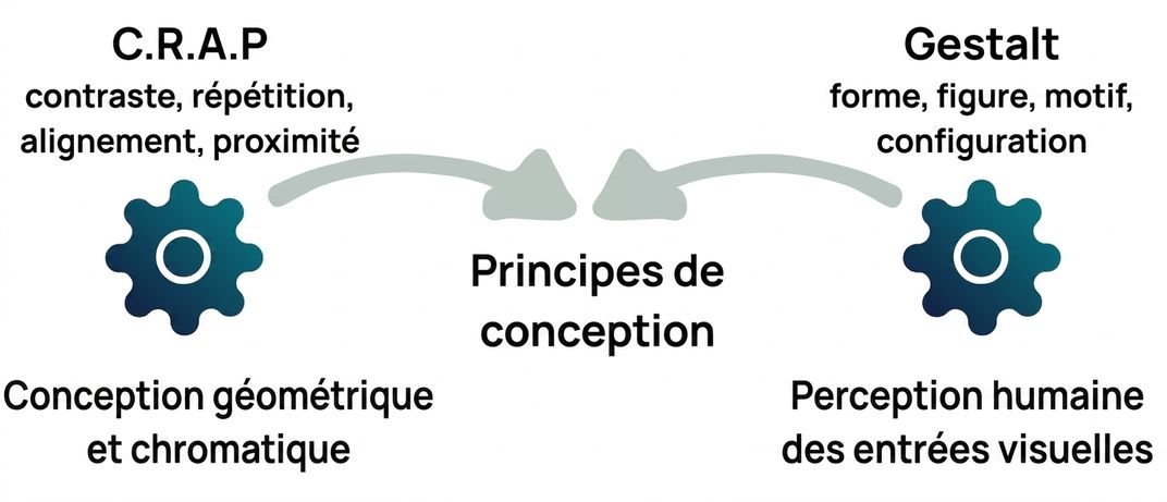 principes