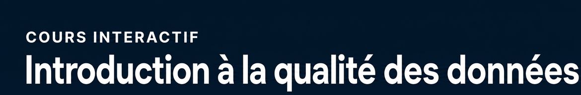 cours sur la qualité des données