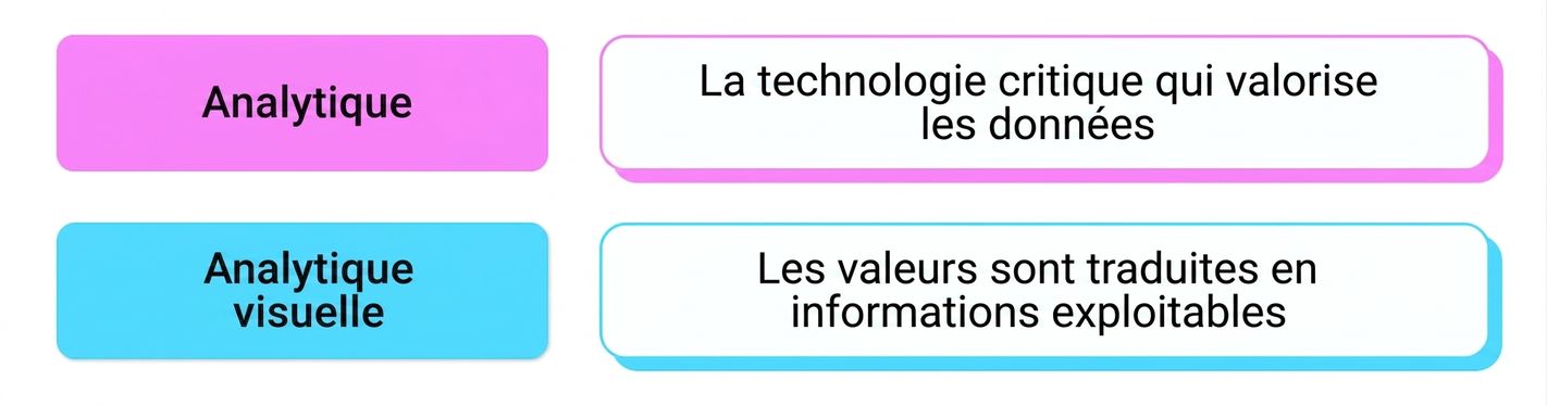 analyse visuelle