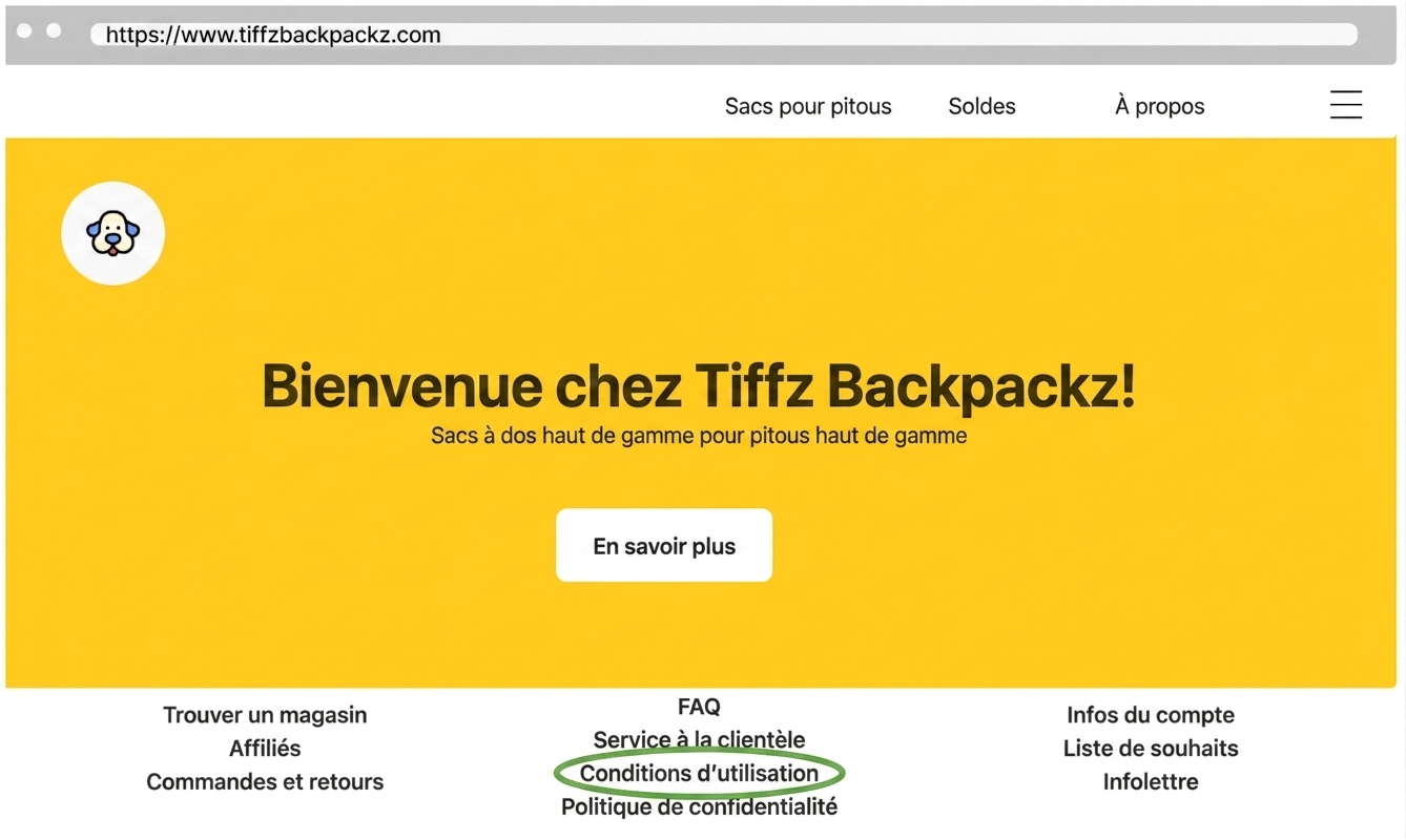 Page des Conditions d'utilisation de Tiffz Backpackz