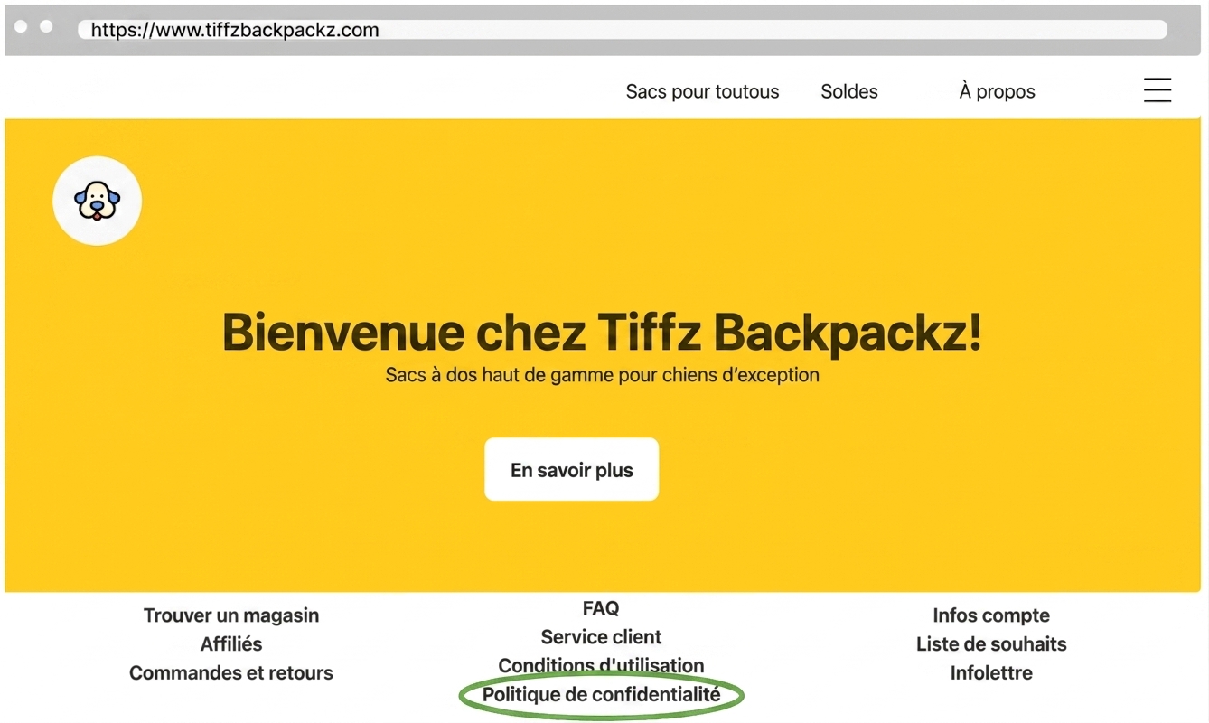 Politique de confidentialité de Tiffz Backpackz sur la page d'accueil