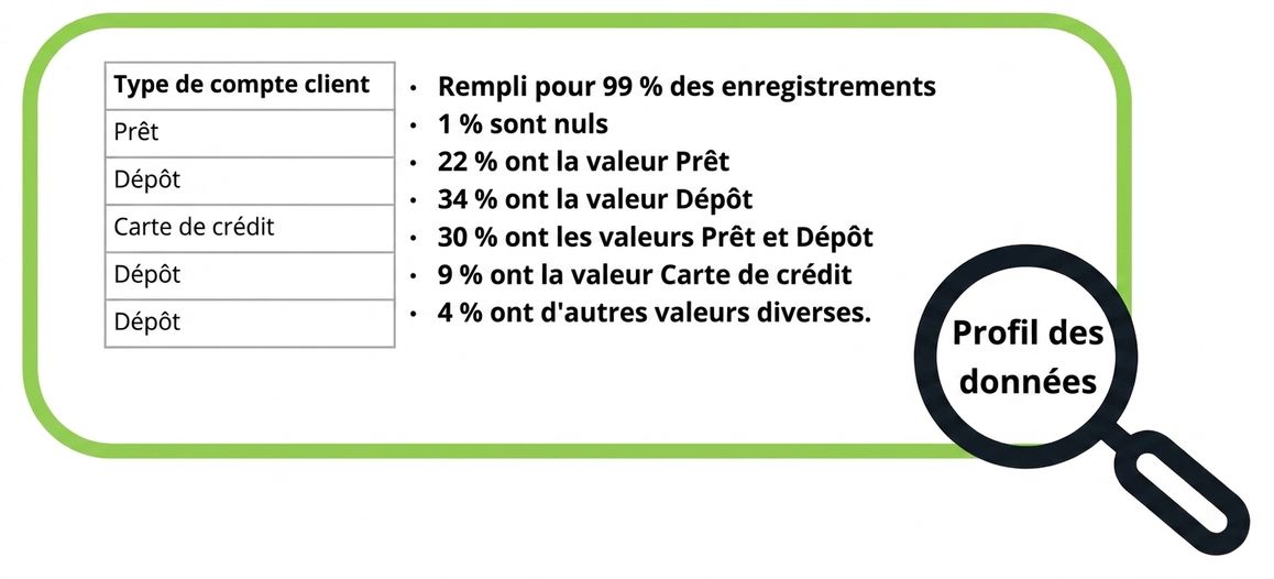 exemples de profil de données