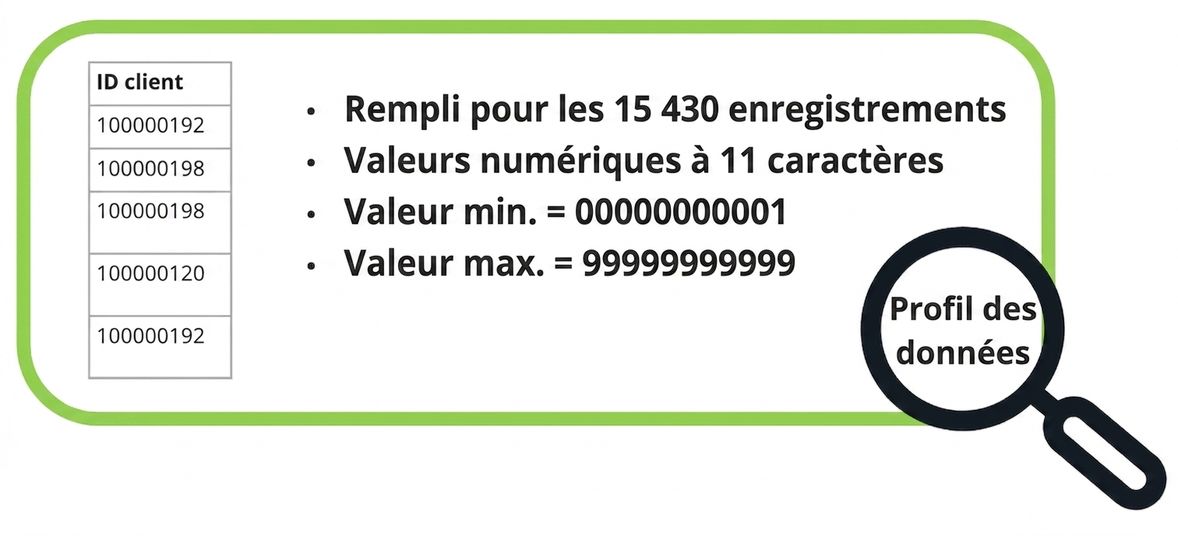exemples de profil de données