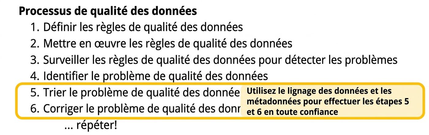 processus de qualité des données mettant en évidence le triage et la correction