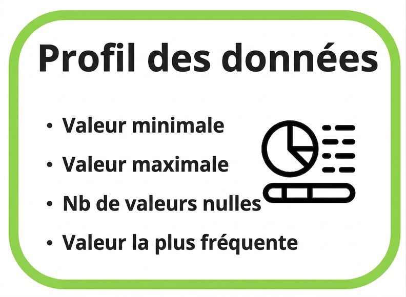 exemples de profil de données, min, max, nombre de valeurs nulles