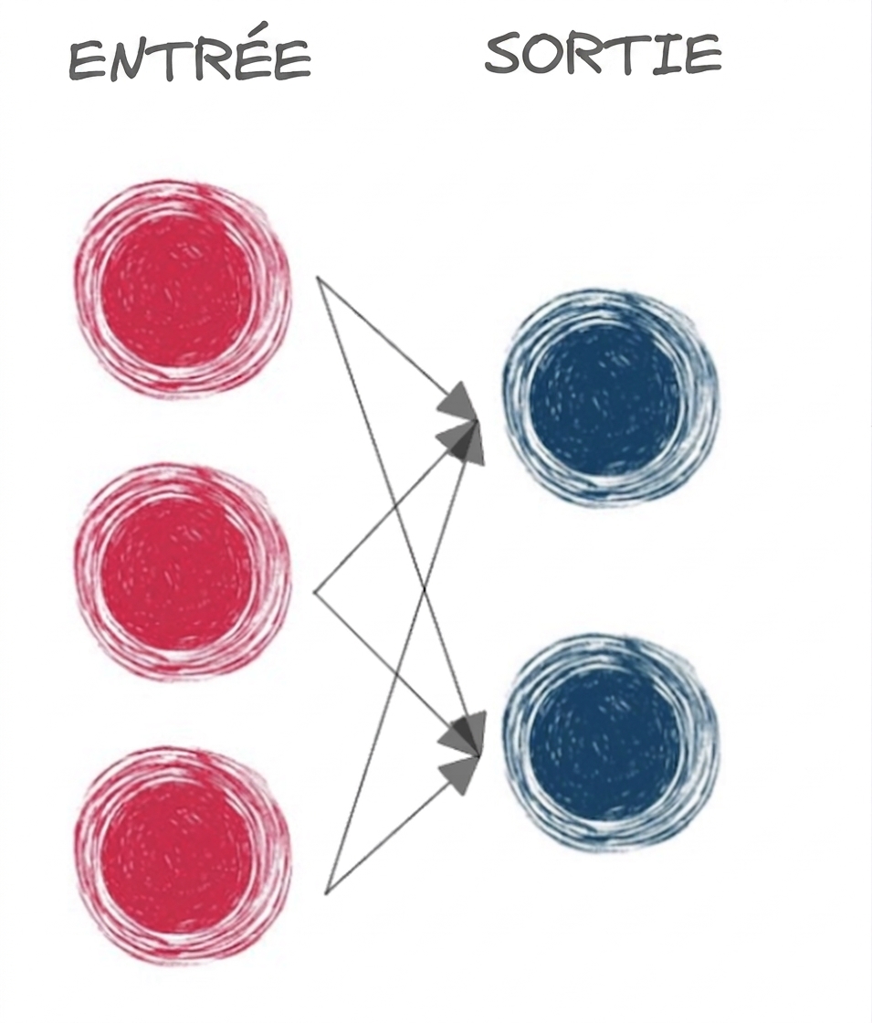 Schéma d'un réseau de neurones de base avec seulement entrée et sortie