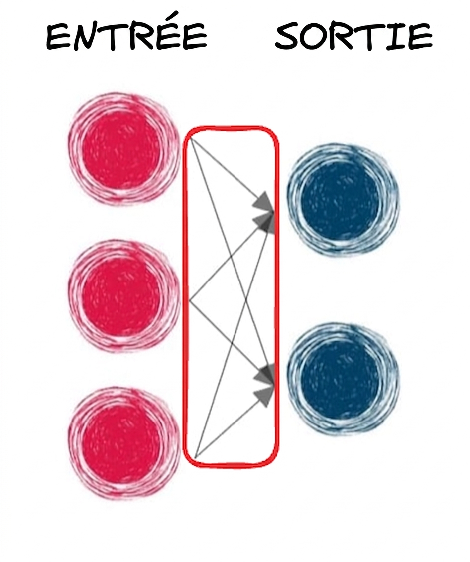 Illustration d'une couche d'entrée et d'une couche de sortie avec des flèches les reliant