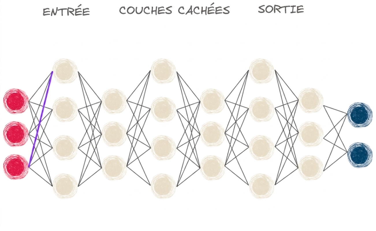 Diagramme d'un réseau de neurones à plusieurs couches