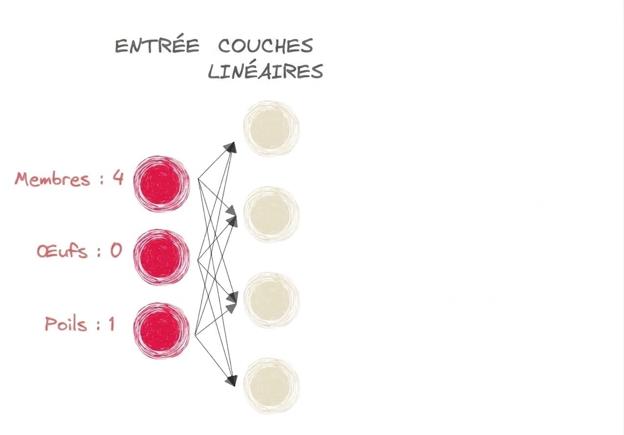 Schéma d'une partie d'un réseau de neurones avec entrées et couches linéaires