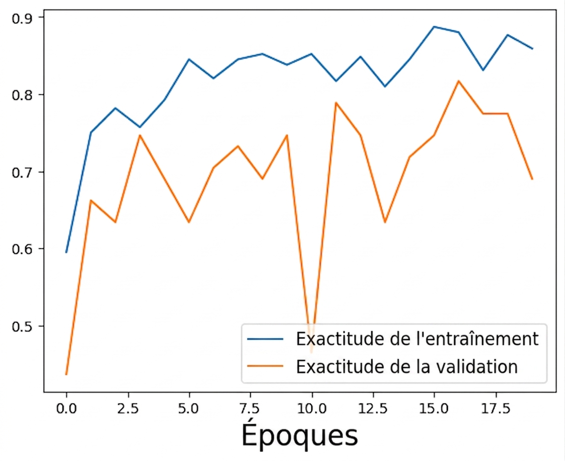 performances initiales