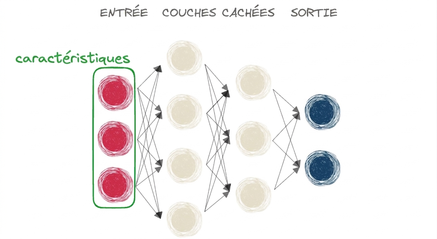 Schéma d'un réseau de neurones avec entrée, couche cachée et sortie