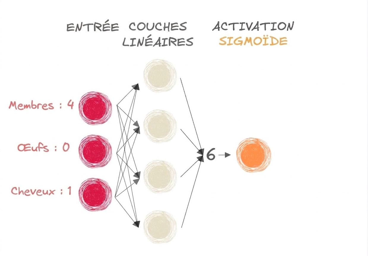 Schéma d'une partie d'un réseau de neurones avec entrées, le nombre 6 en sortie vers les couches linéaires, et une fonction d'activation sigmoïde