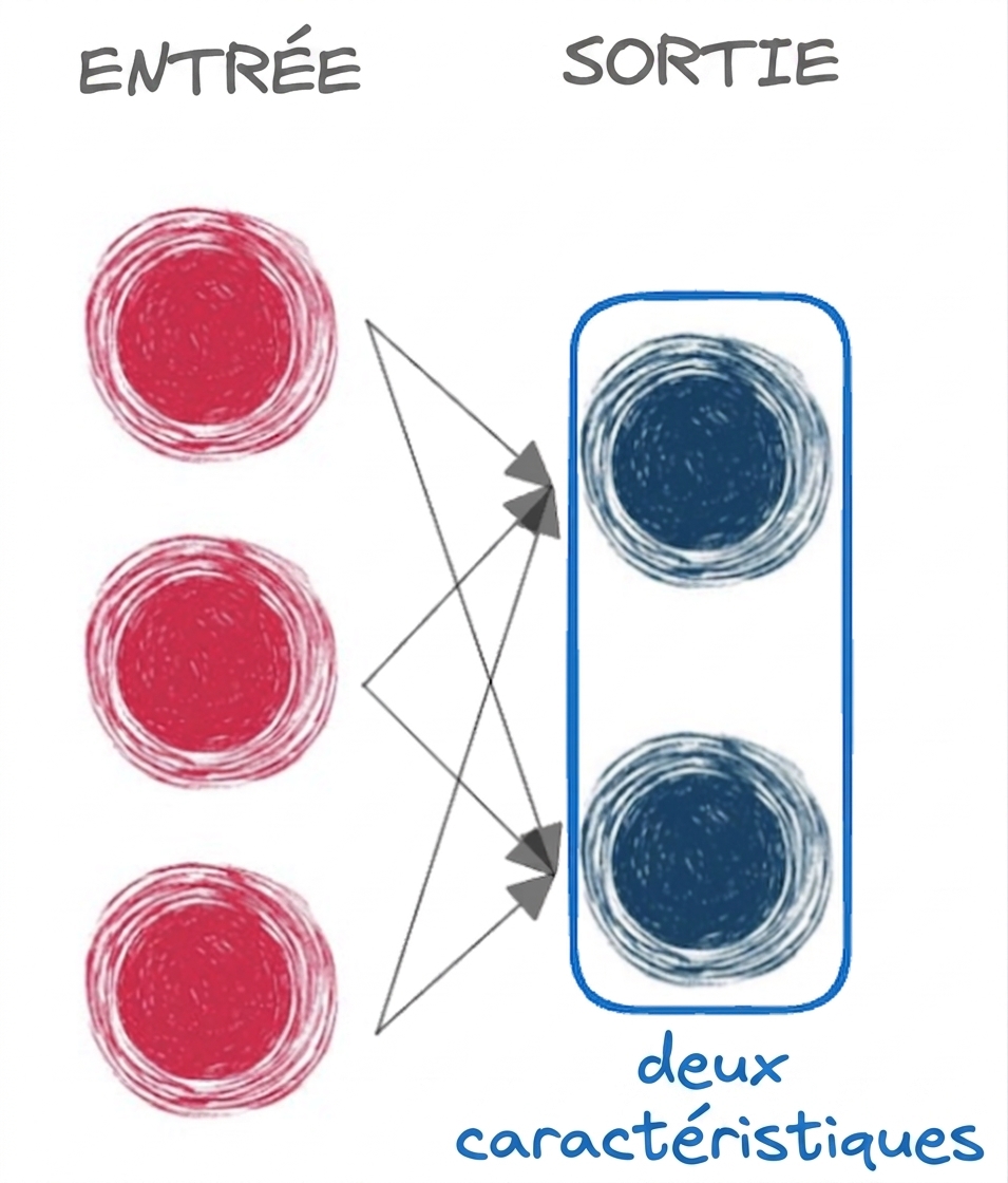 Schéma d'un réseau de neurones de base avec seulement entrée et sortie