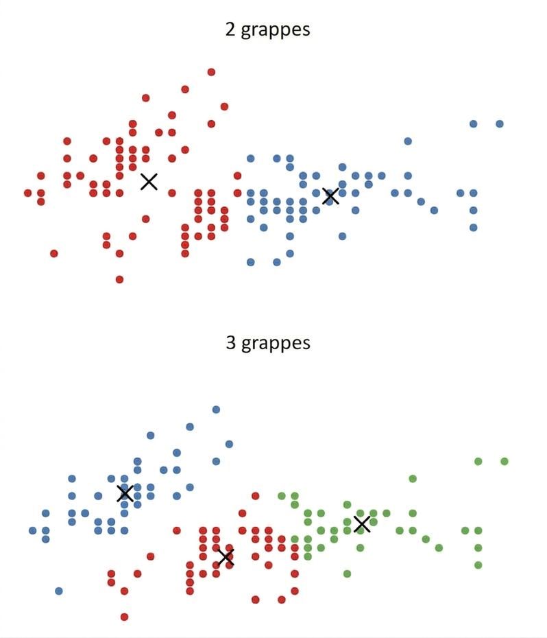 2 vs 3 grappes