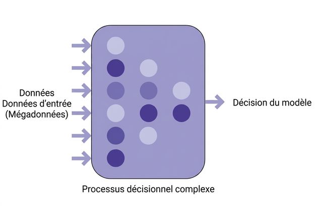 Illustration d'une IA avec données en entrée et décision du modèle.
