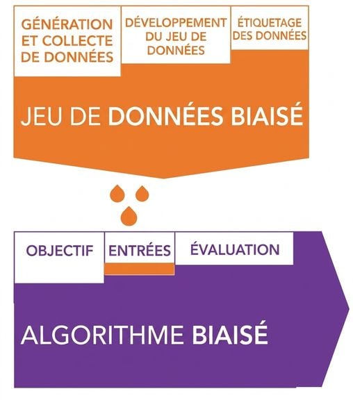 Illustration de biais aux différentes étapes du cycle de vie des données alimentant des algorithmes biaisés