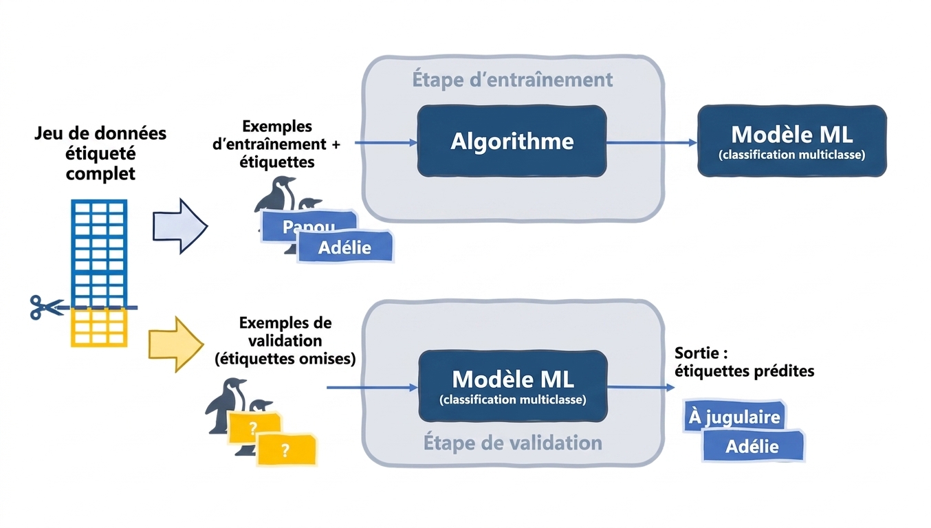 Validation d'un modèle avec des exemples de test