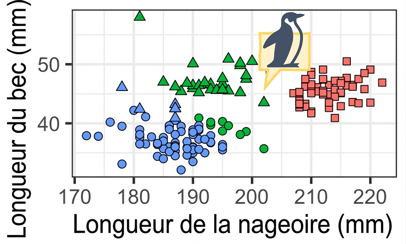 Regroupement des données sur les manchots