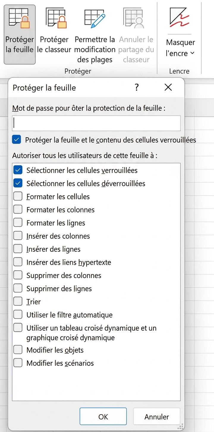 Fenêtre contextuelle « Protéger la feuille »