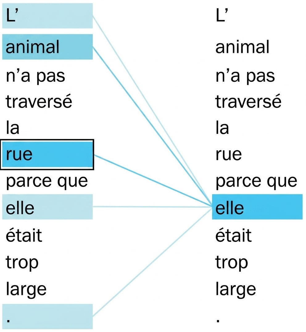 La phrase « The animal didn't cross the street because it was too wide. ». Les mots « it » et « street » sont surlignés.