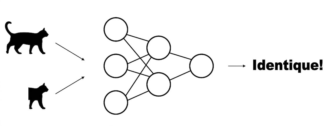 Schéma d'un modèle qui prend deux versions augmentées d'une même image en entrée et apprend qu'elles sont équivalentes.