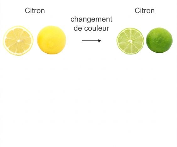Un citron jaune et une lime verte se ressemblent, ne diffèrent que par la couleur.