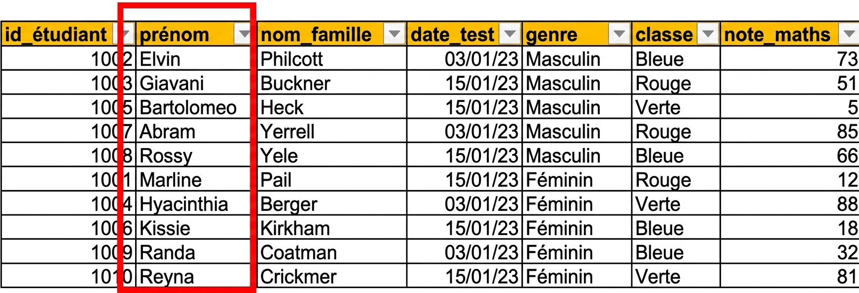 Exemple d'un tableau saisi manuellement dans Excel avec la colonne de texte full_name en surbrillance