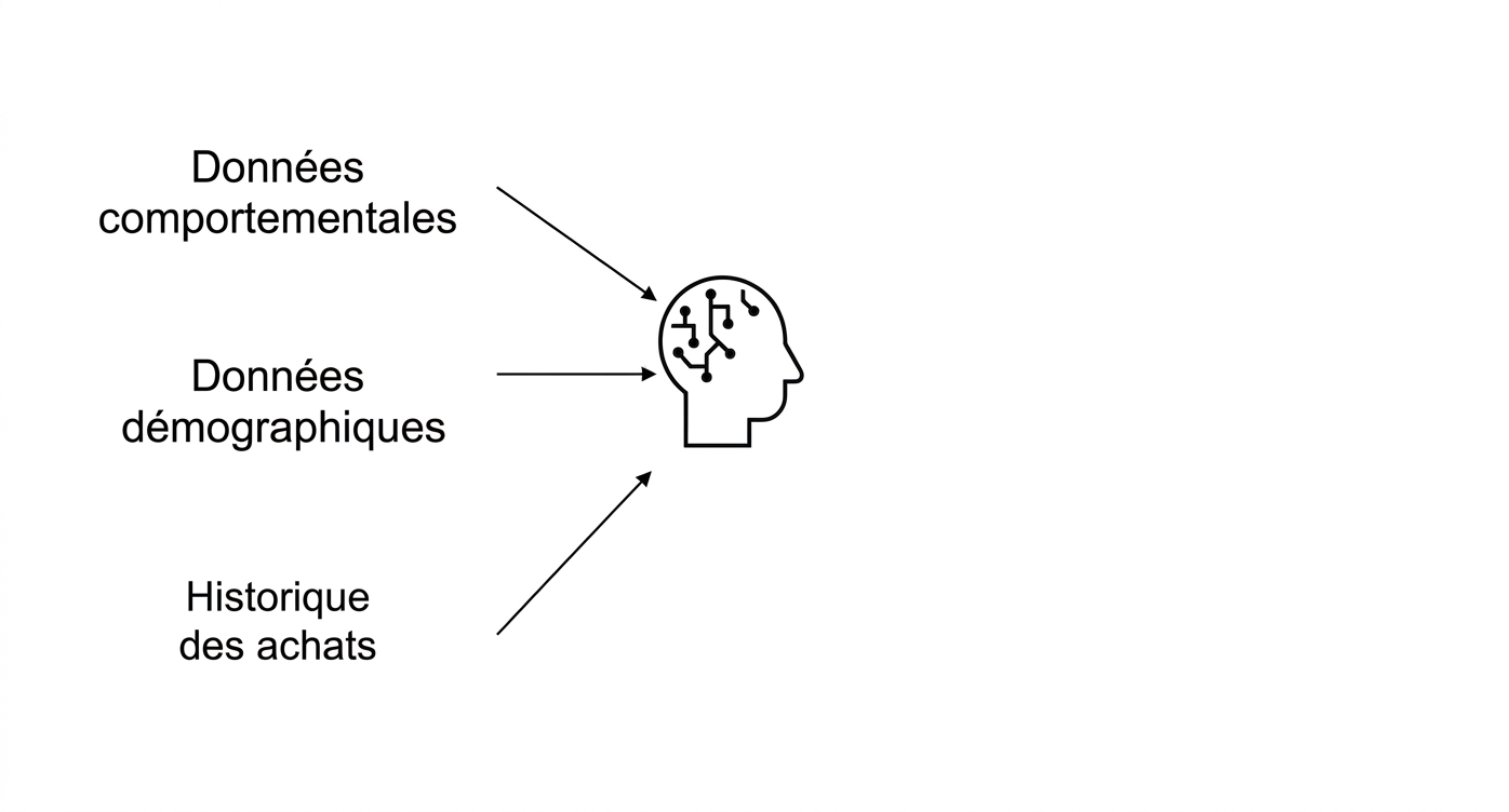 Behavioral Data, Demographics, and Purchase History data being used in AI.