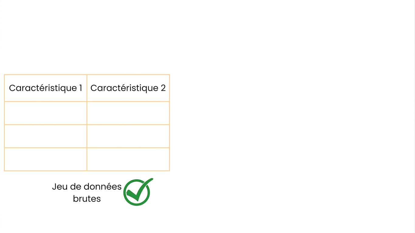 Attributs bruts utilisables tels quels