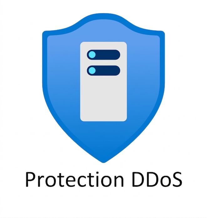 écusson bleu avec « DDoS protection » inscrit dessous