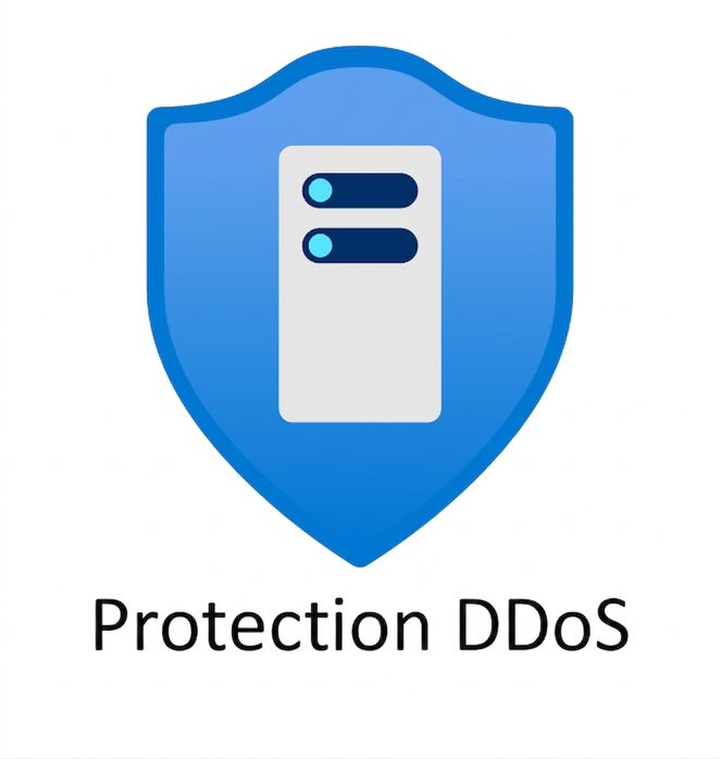 écusson bleu avec « DDoS protection » inscrit dessous