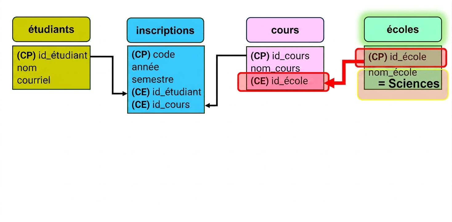 Interroger le modèle ER pour l'école des sciences