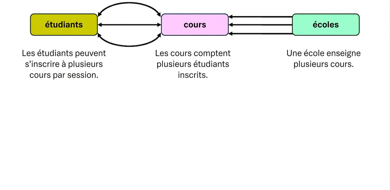 Interaction des entités du thème collégial