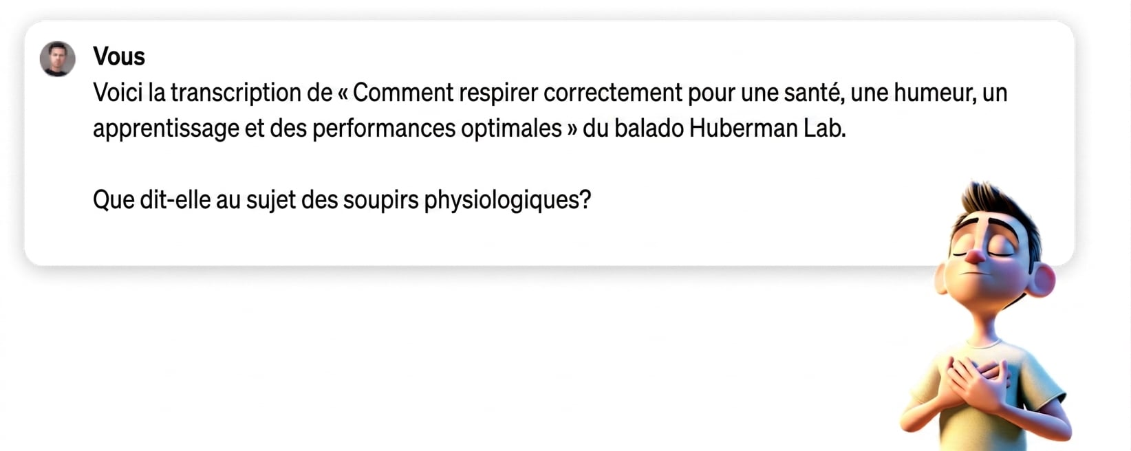 Invite demandant au robot de reformuler les points clés d'une transcription fournie.